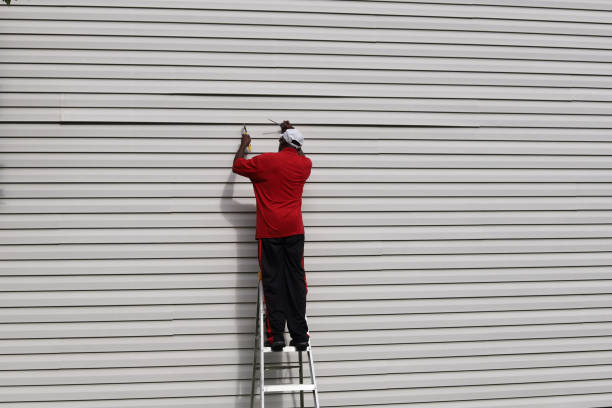 Trusted Cashton, WI Siding Installation & Repair Experts